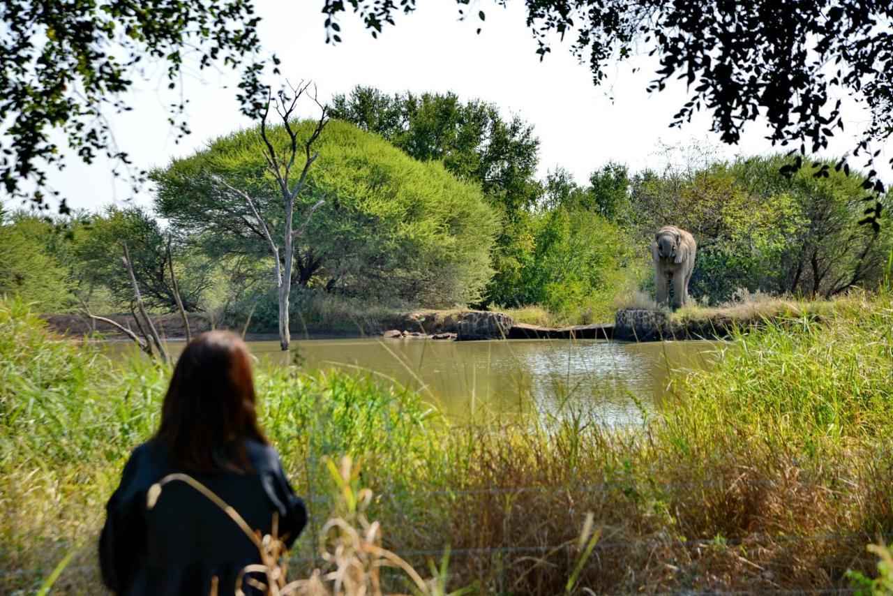 Black Rhino Game Lodge Pilanesberg Esterno foto