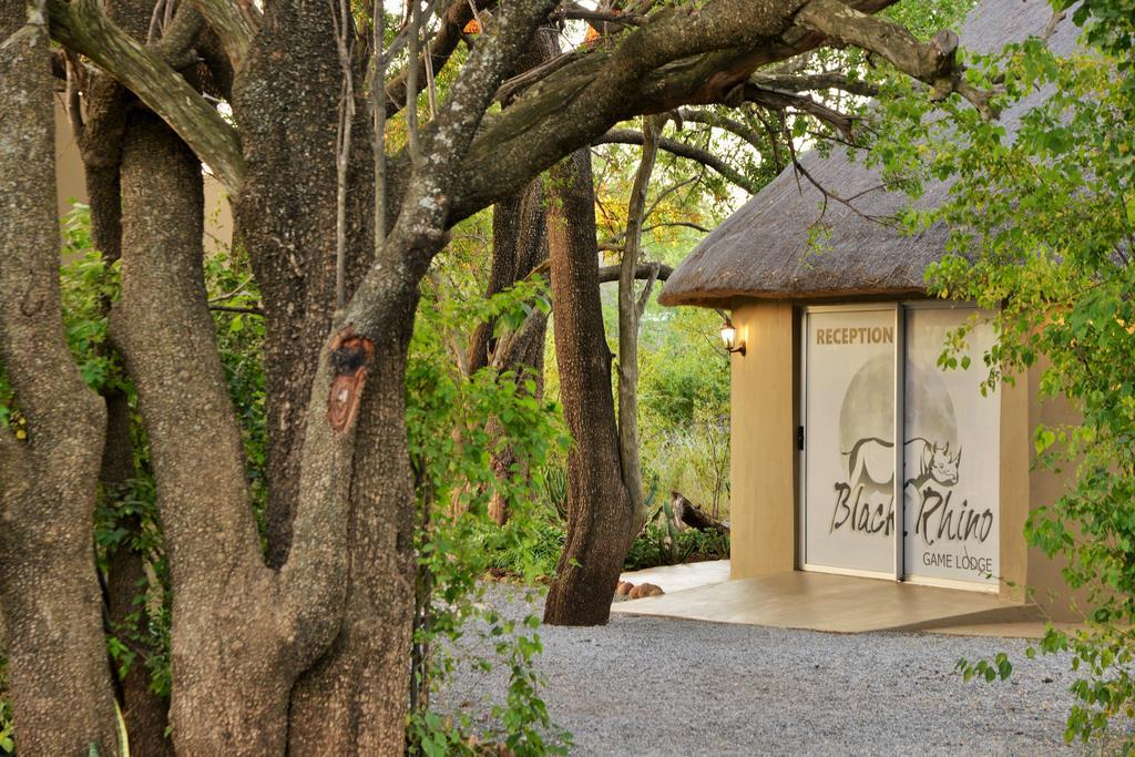 Black Rhino Game Lodge Pilanesberg Esterno foto